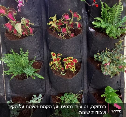 צמחים שונים שתולים בכיסי בד על קיר